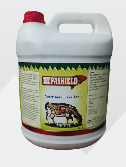 HEPASHIELD