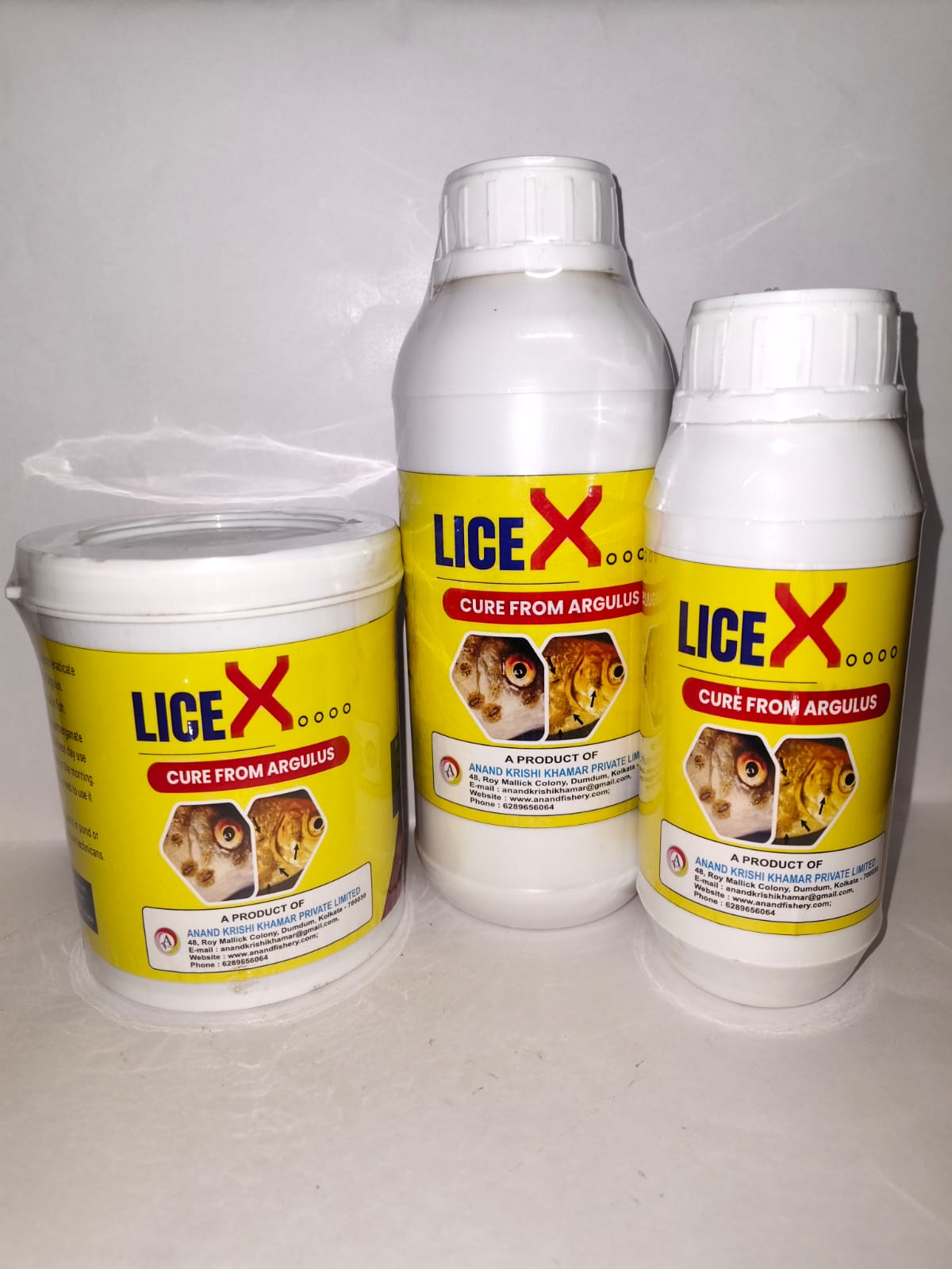 LICEX