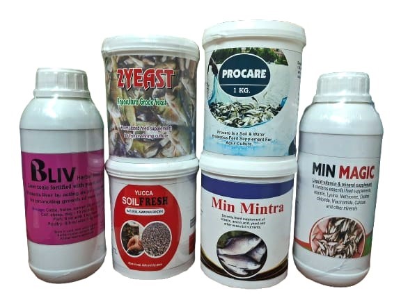 Fish Medicine
